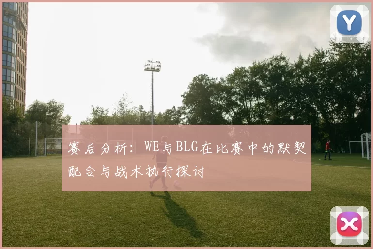 赛后分析：WE与BLG在比赛中的默契配合与战术执行探讨