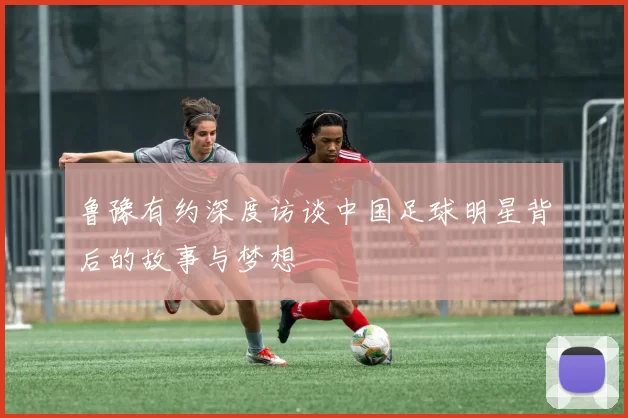 鲁豫有约深度访谈中国足球明星背后的故事与梦想