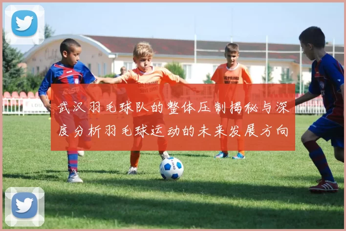 武汉羽毛球队的整体压制揭秘与深度分析羽毛球运动的未来发展方向