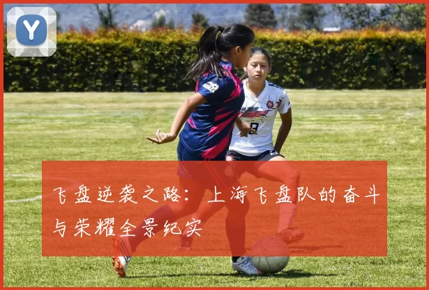 飞盘逆袭之路：上海飞盘队的奋斗与荣耀全景纪实