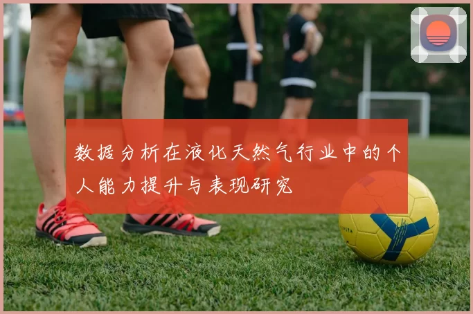 数据分析在液化天然气行业中的个人能力提升与表现研究