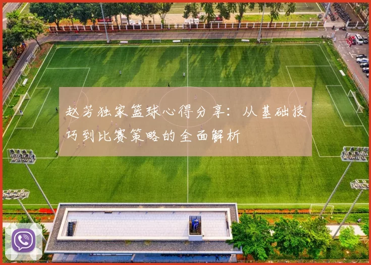 赵芳独家篮球心得分享：从基础技巧到比赛策略的全面解析