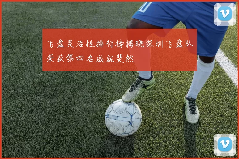 飞盘灵活性排行榜揭晓深圳飞盘队荣获第四名成就斐然