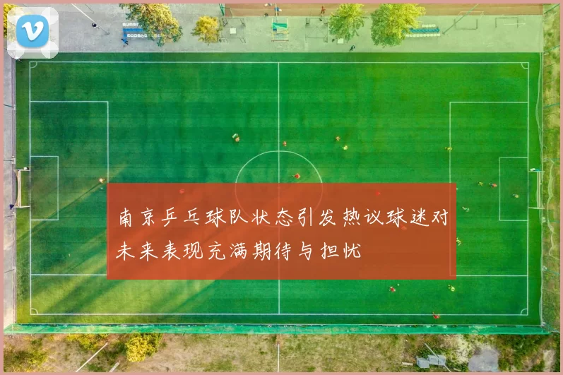 南京乒乓球队状态引发热议球迷对未来表现充满期待与担忧
