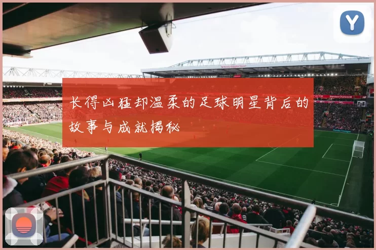 长得凶猛却温柔的足球明星背后的故事与成就揭秘