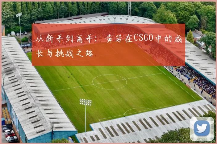 从新手到高手：黄芳在CSGO中的成长与挑战之路