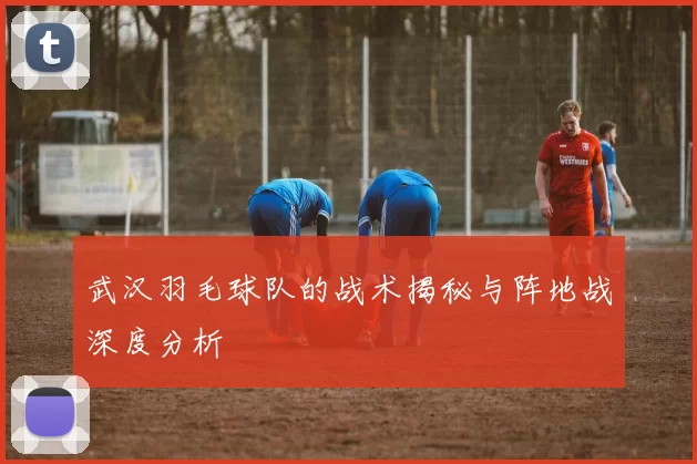 武汉羽毛球队的战术揭秘与阵地战深度分析