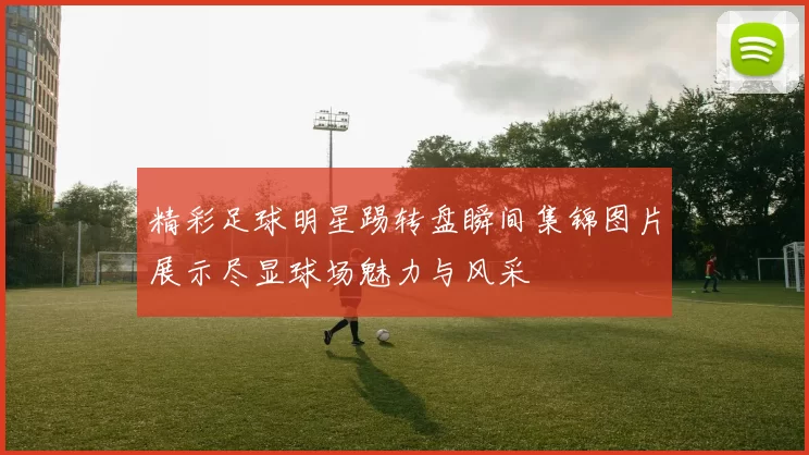 精彩足球明星踢转盘瞬间集锦图片展示尽显球场魅力与风采