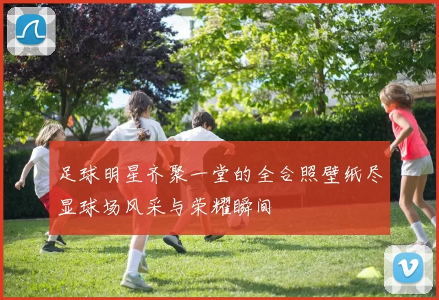 足球明星齐聚一堂的全合照壁纸尽显球场风采与荣耀瞬间