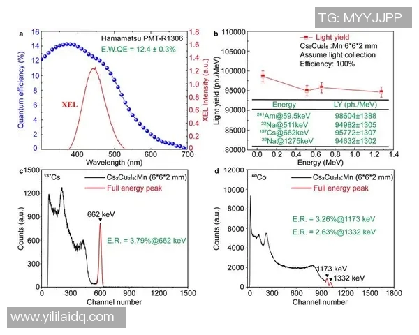 TES团队协作表现的数据分析与提升策略探讨
