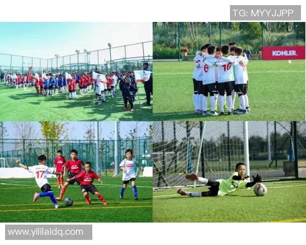 上海足球队的拼搏历程与荣耀时刻全景纪实