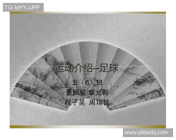 武汉排球队的运营模式与发展策略深度解析