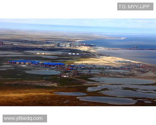 亚马尔地区地理环境与能源资源开发对全球气候变化的影响分析