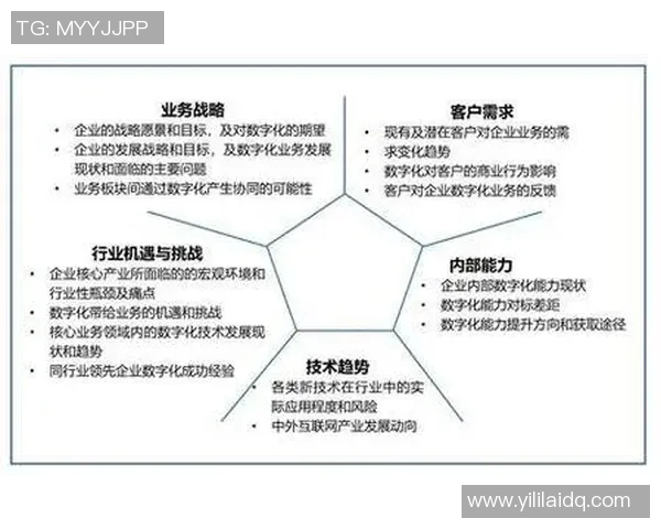 数字化转型时代会计职能的创新与发展路径探析