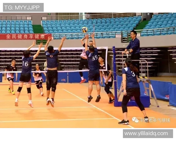 北京排球队区域防守策略解析与深度剖析排球战术的秘密