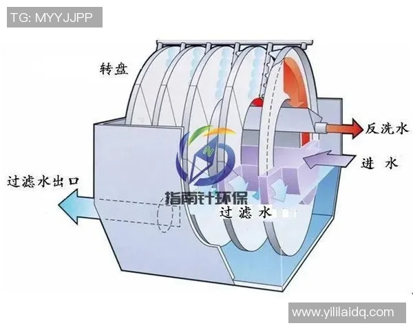 蝶泳技巧精髓解析与训练方法提高速度与耐力的全面指南